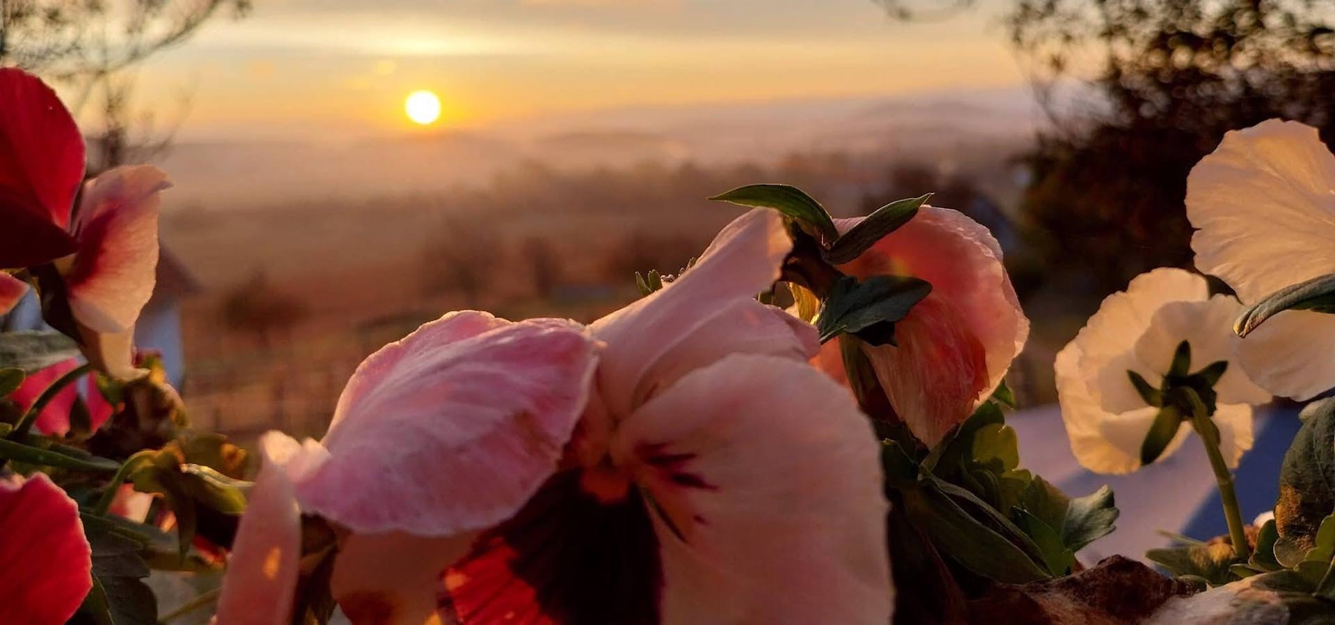 Beautiful Experiences